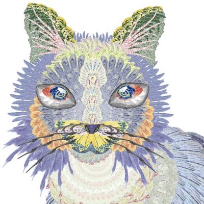 hohobun's profile picture