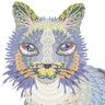 hohobun profil fotoğrafı