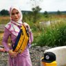 iqaAckerman profil fotoğrafı
