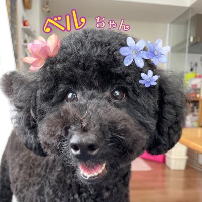 Black13Belle's profile picture
