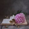 دروب٢٢ profil fotoğrafı