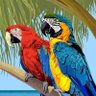 บินเบา profil fotoğrafı