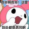 芒果布丁's profile picture