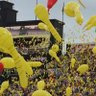 Фото профиля 姫と神戸とタイガース🏯⚓️🐯アメリカ🇺🇸から真の独立を‼️日本🇯🇵を取り戻そう‼️