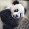 まりりん profil fotoğrafı