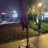 qha 的头像