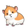 xGuineapig™'s profile picture