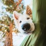ばん profil fotoğrafı