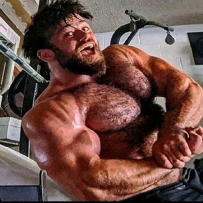Trojanmachine's profile picture