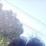 KnuCle 的头像