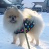 ✿ ✿ ✿みう✿ ✿ ✿'s profile picture