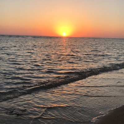 shfi_66's profile picture