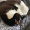 Fiona Pentith #FBPE's profile picture