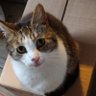 Hazel Dixon profil fotoğrafı