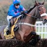 Horseracing2025 profil fotoğrafı