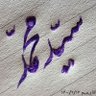 محمد's profile picture