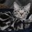 Sondra Laporte's profile picture