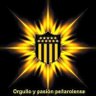 Фото профиля bastidas