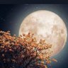 الفقيره الى الله profil fotoğrafı