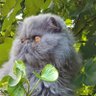 Profilbild von Joseph K.aT
