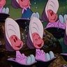 ぽてぽてこ🌛楽天roomやってます 的头像