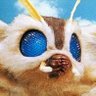 Mothra profil fotoğrafı