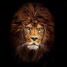 Faisal Mirza's profile picture