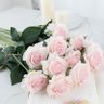 Rosegarden 的头像