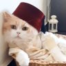 MAJD's profile picture