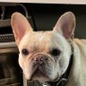 JamOne profil fotoğrafı