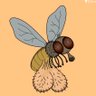 la mosca cojonera's profile picture