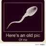 Profilbild von OpenCT