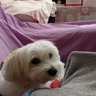 Giorgia profil fotoğrafı