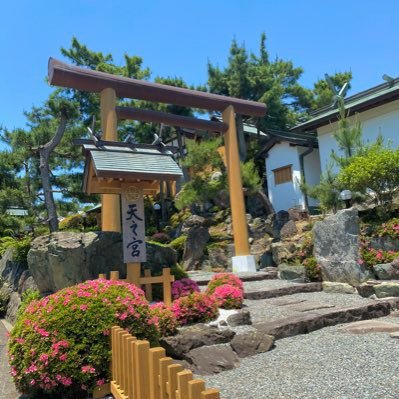 天之宮(神社)公式's profile picture