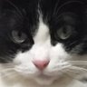 Profilbild von かずゆ