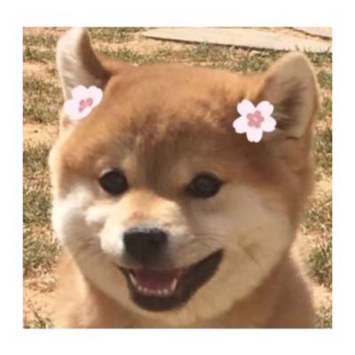 wtf7zh's profile picture