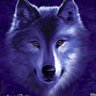 Lobo Gonzalez's profile picture