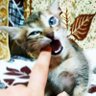 Nerry's profile picture