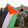 Profilbild von Mohamed Adbib