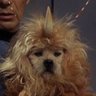 Profilbild von Gizminator