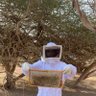 Profilbild von بن سحمان للعسل البري