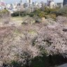 Фото профиля ポポポポン