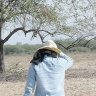 iteng. profil fotoğrafı