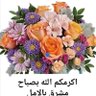 Dawlat Mohamed profil fotoğrafı