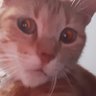 MSM profil fotoğrafı