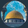🇸🇦 أحمد شداد 🇵🇸 的头像