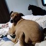 Ruthie Spence profil fotoğrafı