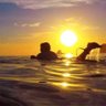 GGG thumberg ✊🏿🧊🏄 profil fotoğrafı
