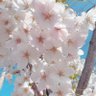 ものたろう profil fotoğrafı