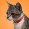 Hary Suryanto's profile picture